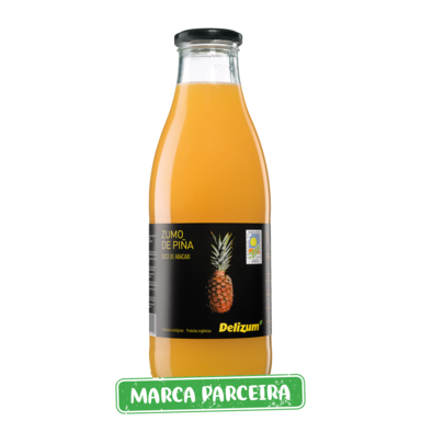 Delizum Sumo de Ananás 1L Biológico