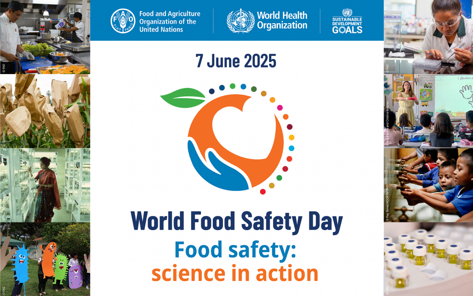 world-food-safety-day-2025-artigo-site-