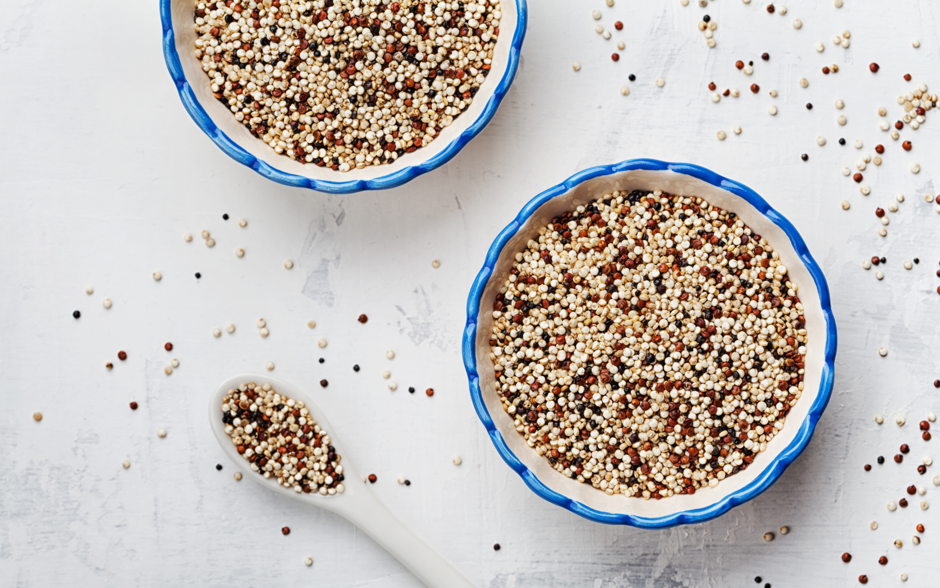 Apresentação da Quinoa Tricolor