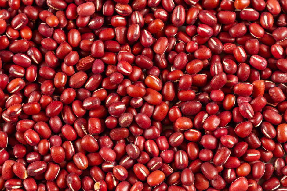 Feijão azuki biológico Origens Bio