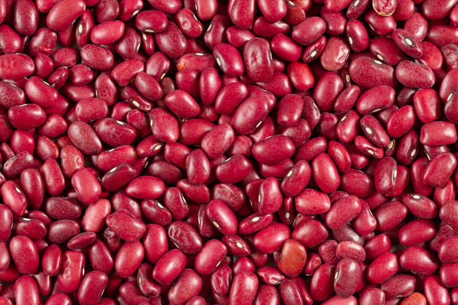 Feijão encarnado biológico Origens Bio