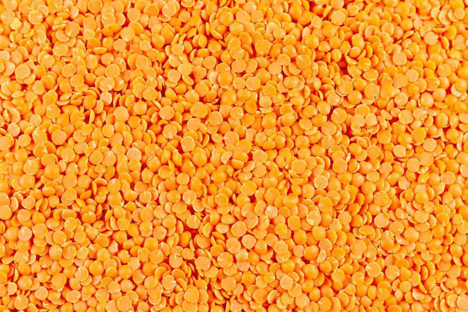 lentilhas-vermelhas-origens-bio-1kg-1