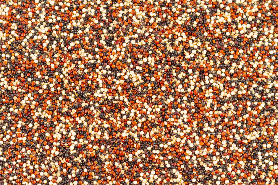 Quinoa tricolor biológica Origens Bio