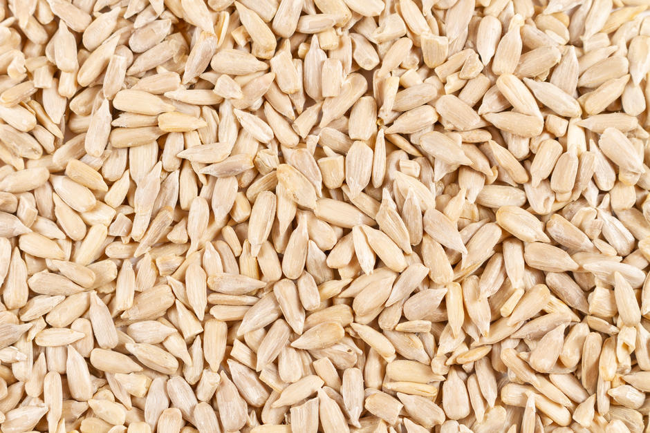 Sementes de Girassol biológicas Origens Bio