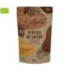 cacau-pepitas-origens-bio-100g