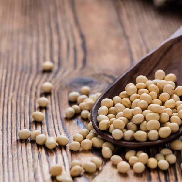 Soja - Verdades e Mitos