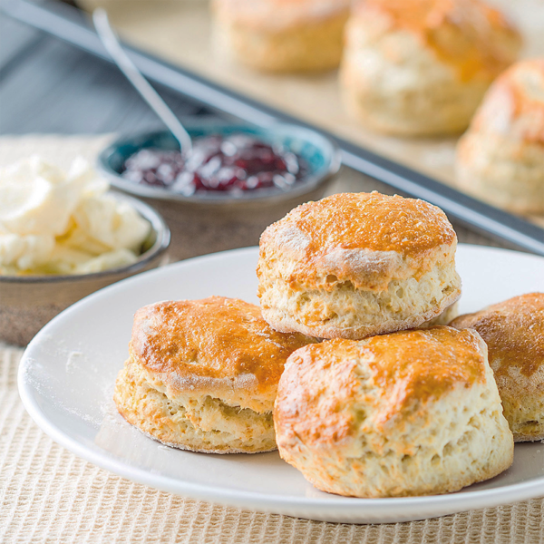 scones saudáveis vegan